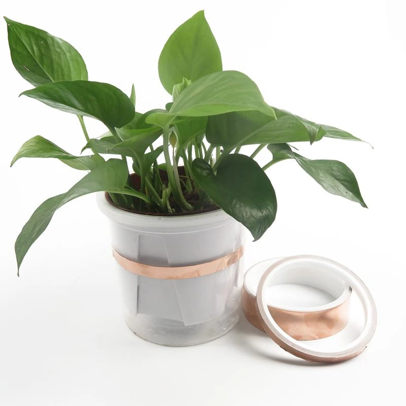 copper snail tape.JPG